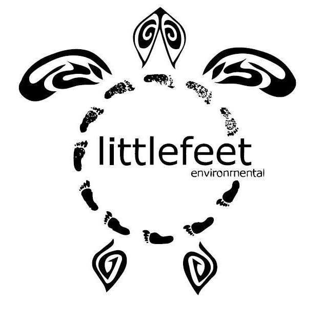Little feet logo